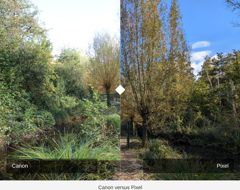 Lire la suite à propos de l’article Comparatif des photos du Pixel 6a avec le reflex Canon EOS 650